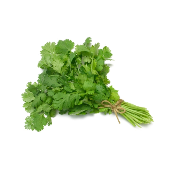 Coriander and Dill weed oil in common colds – How Do They Work